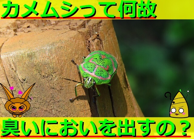 Thumbnail of post image 190